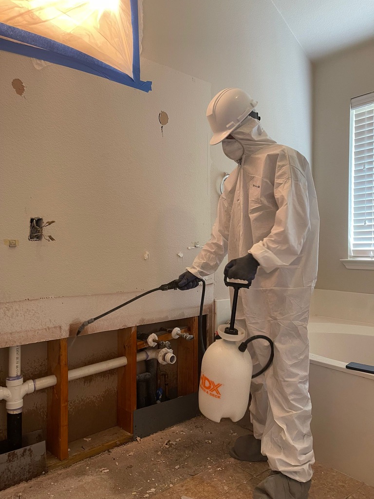 Mold Remediation in Progress