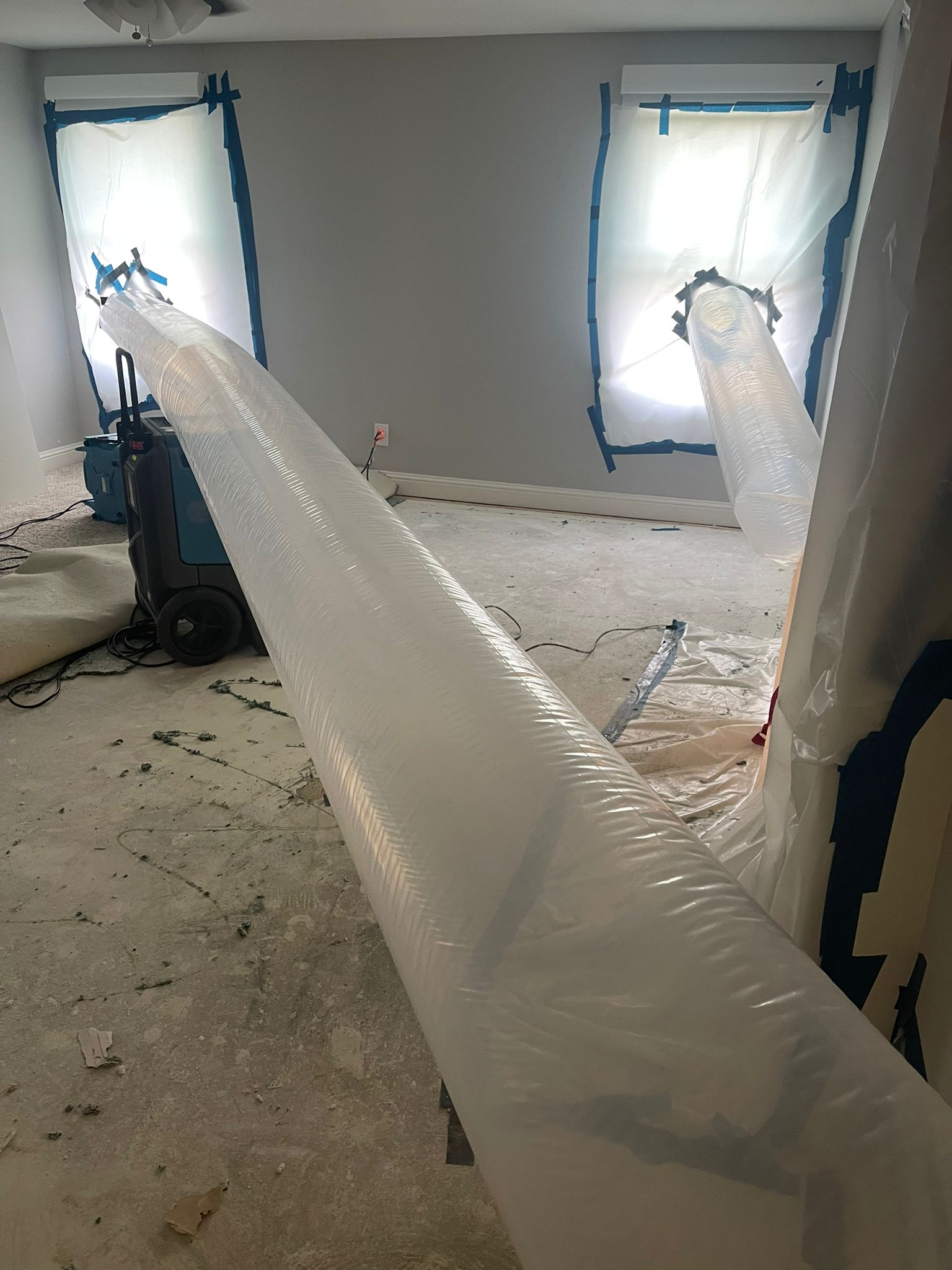 Kitchen Mold Damage Remediation