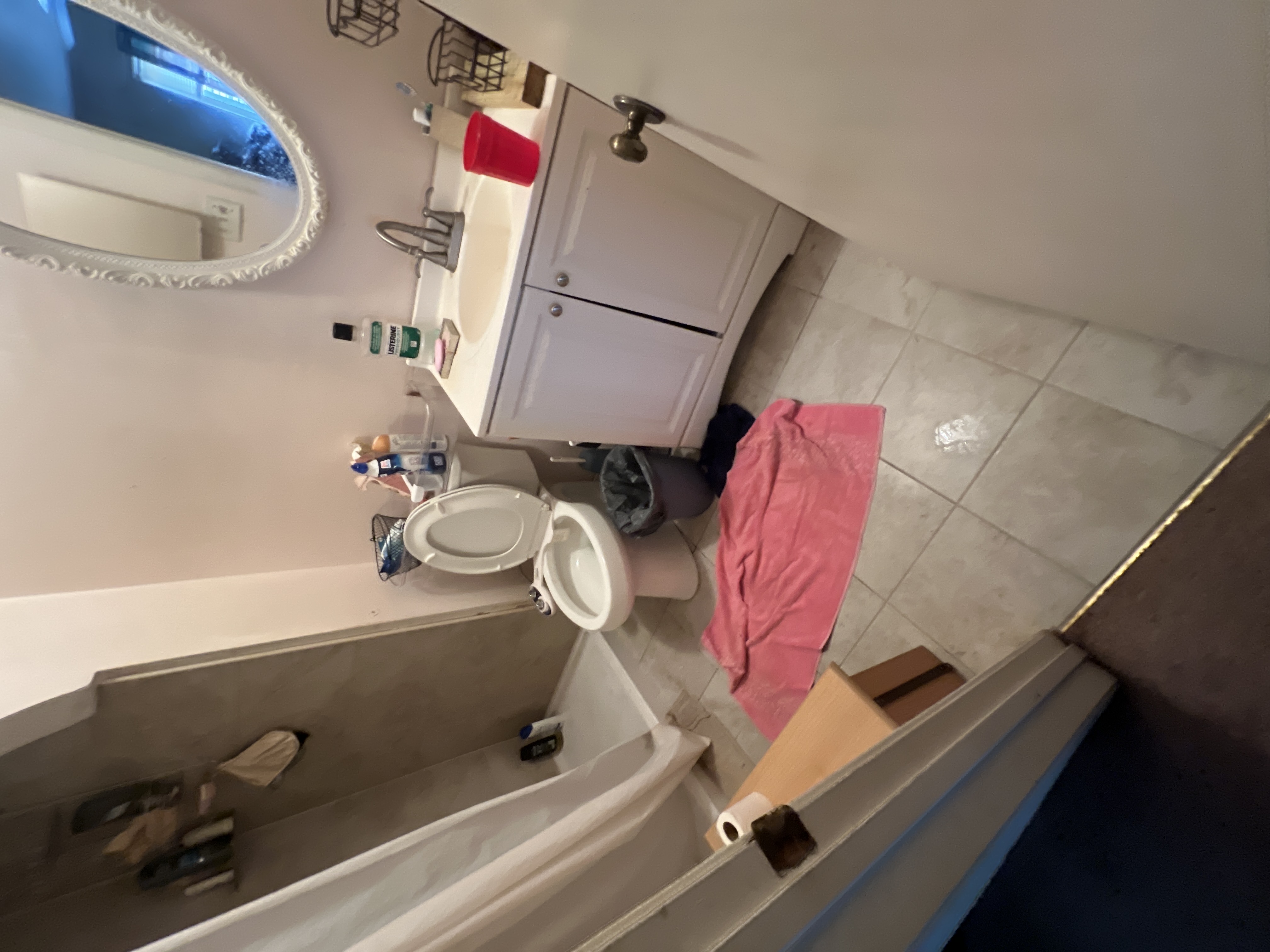 Master Bath Remodel Before