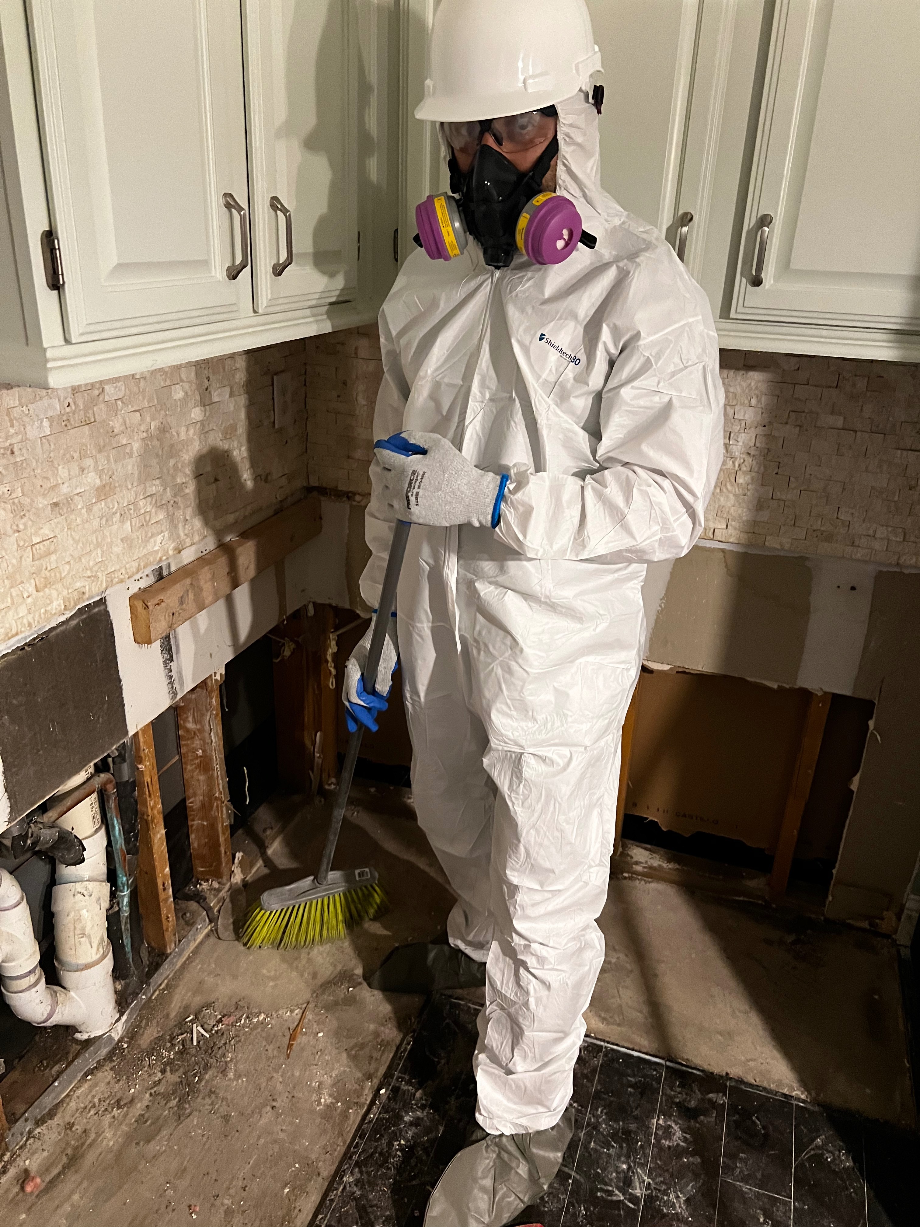 Mold Remediation Specialists