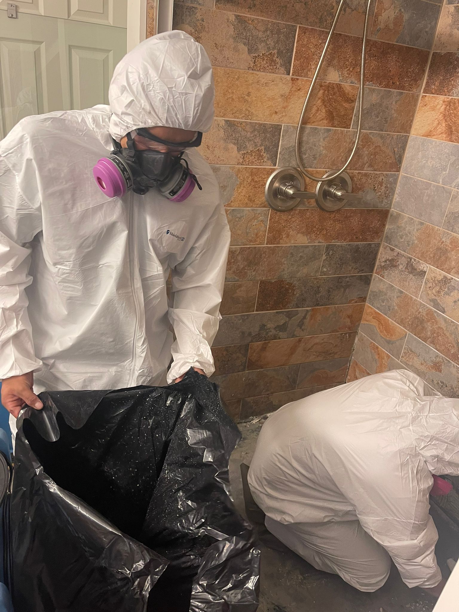 Mold Remediation Specialists