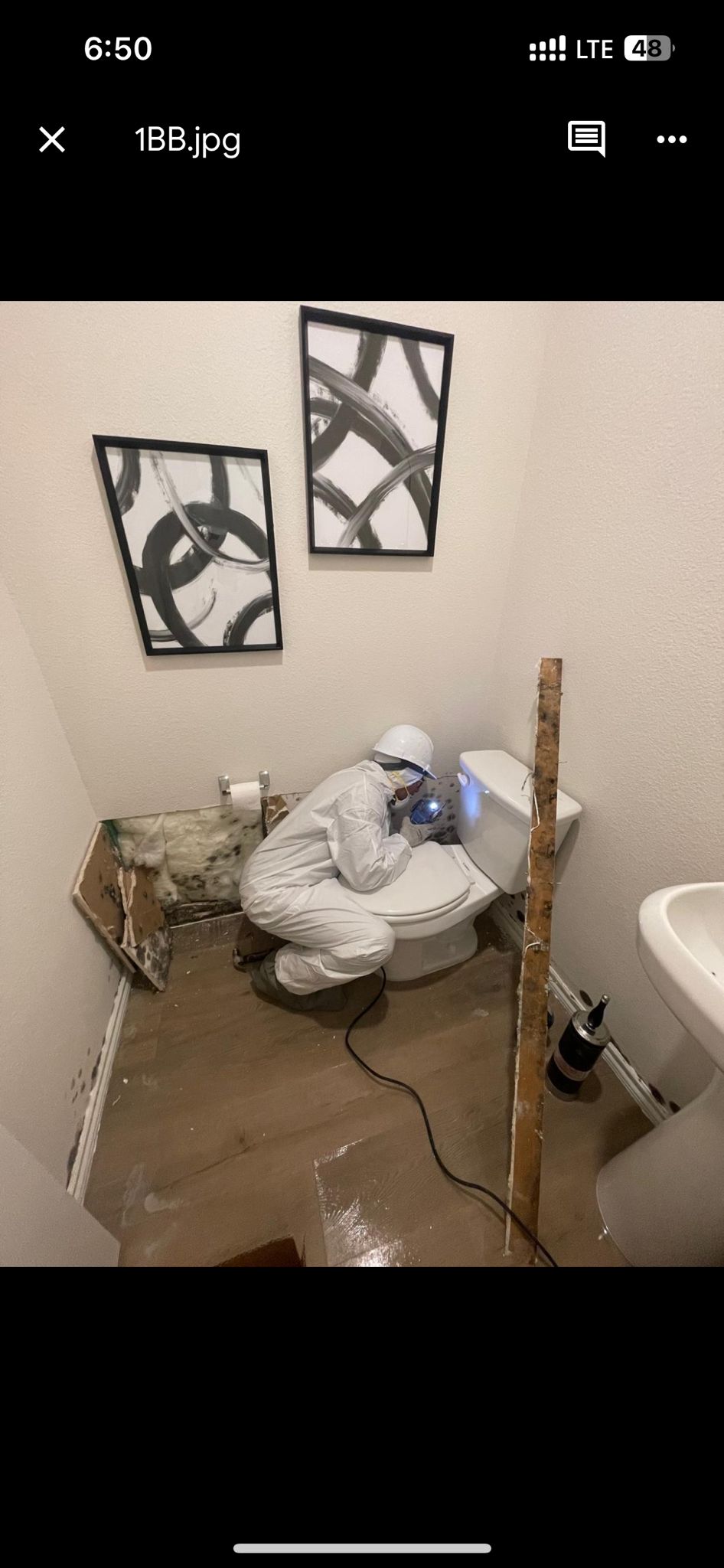 Mold Remediation & Containment After