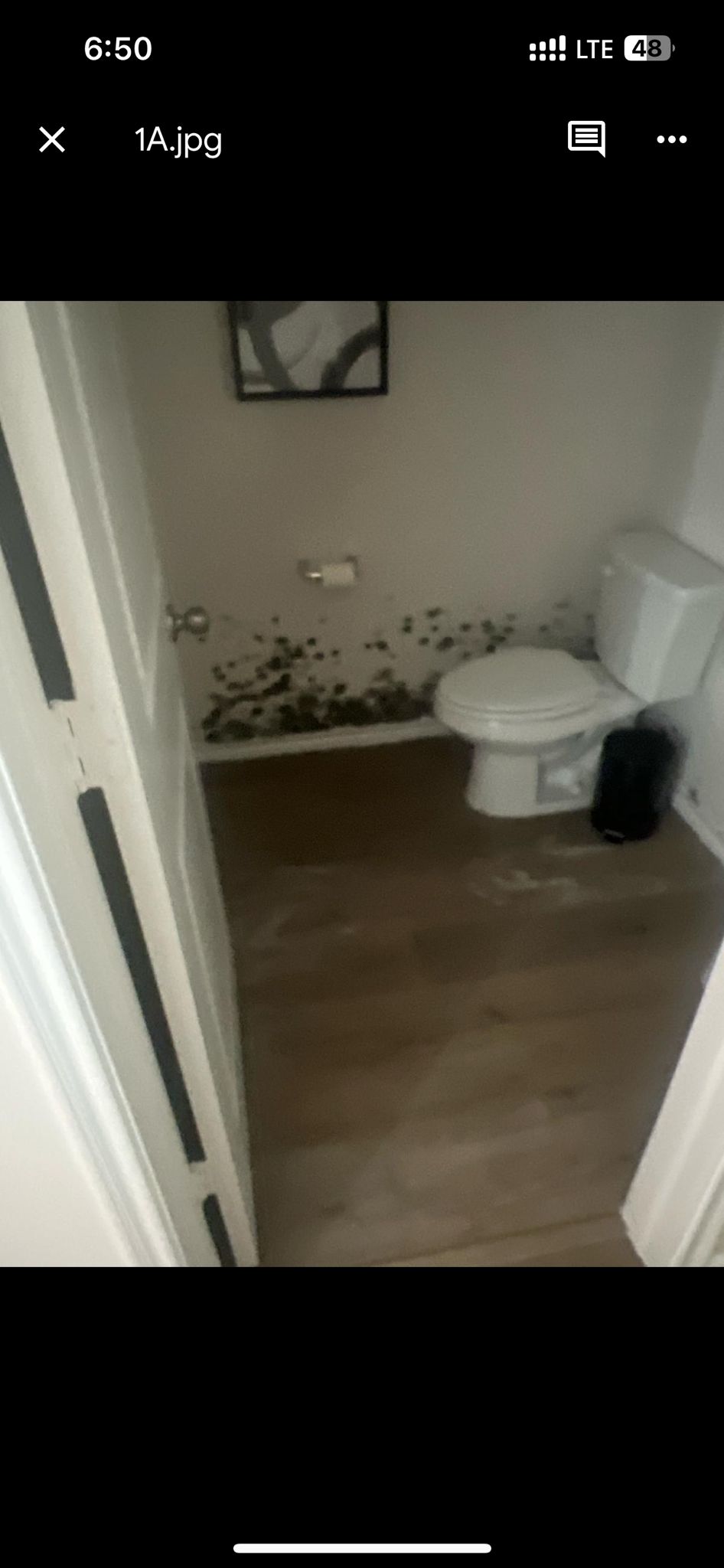 Mold Remediation & Containment Before